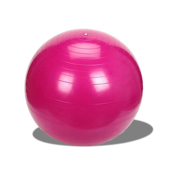 Gym Ball KIF SPORT 65 cm