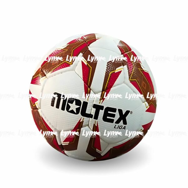 Ballon de Foot Professionnel Moltex Liga
