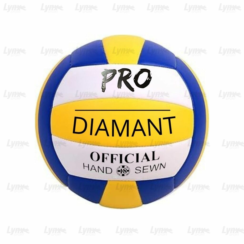 Ballon de Volley