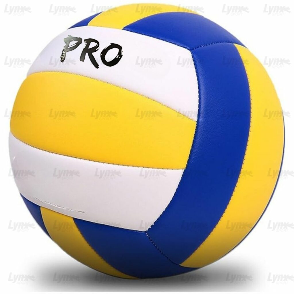 Ballon de Volley