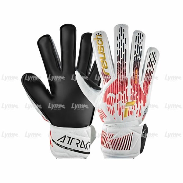 Gants de gardien Germany