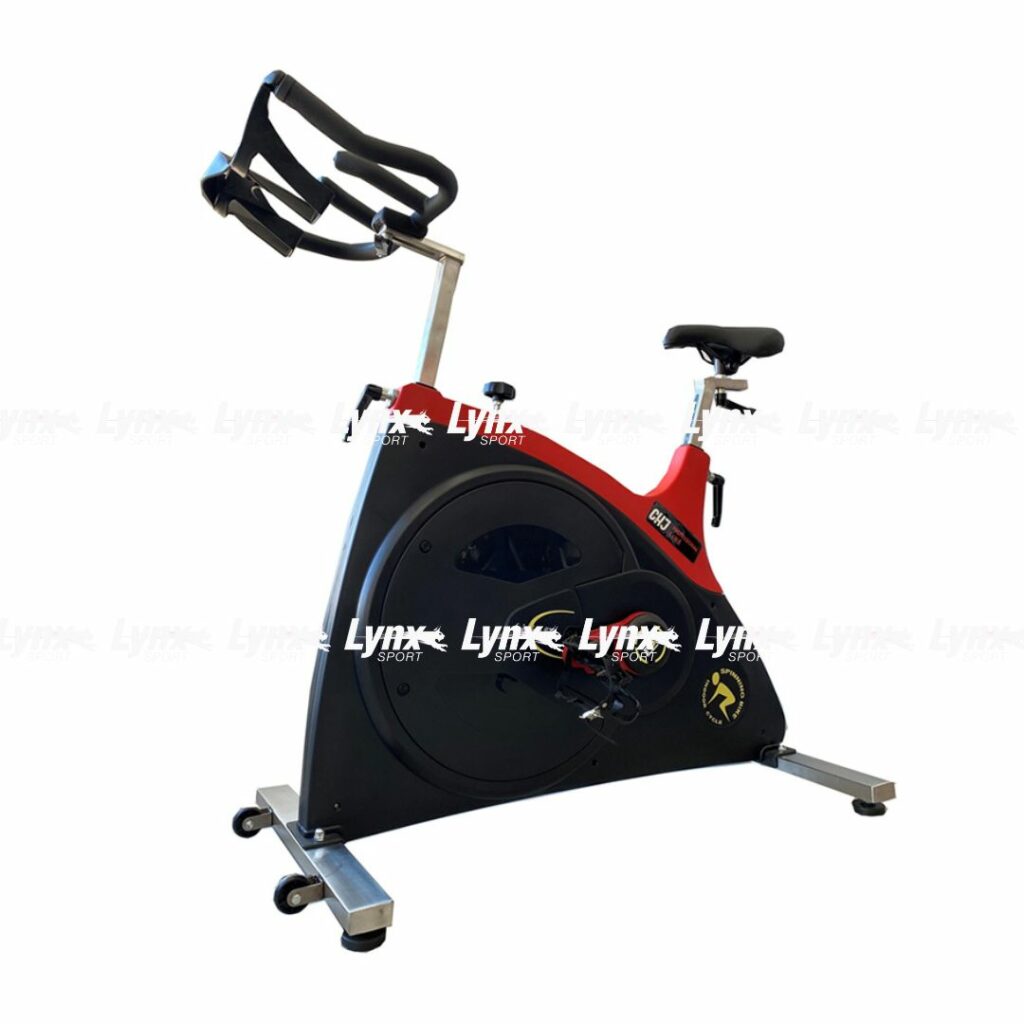 Spinning Bike Pro