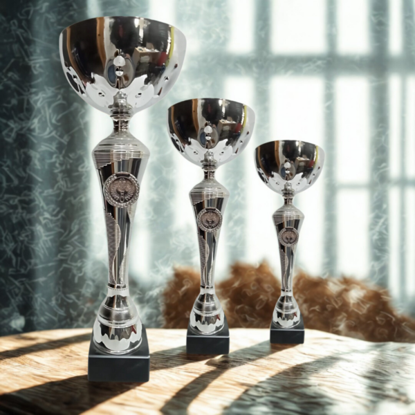 Lot de 3 Trophées