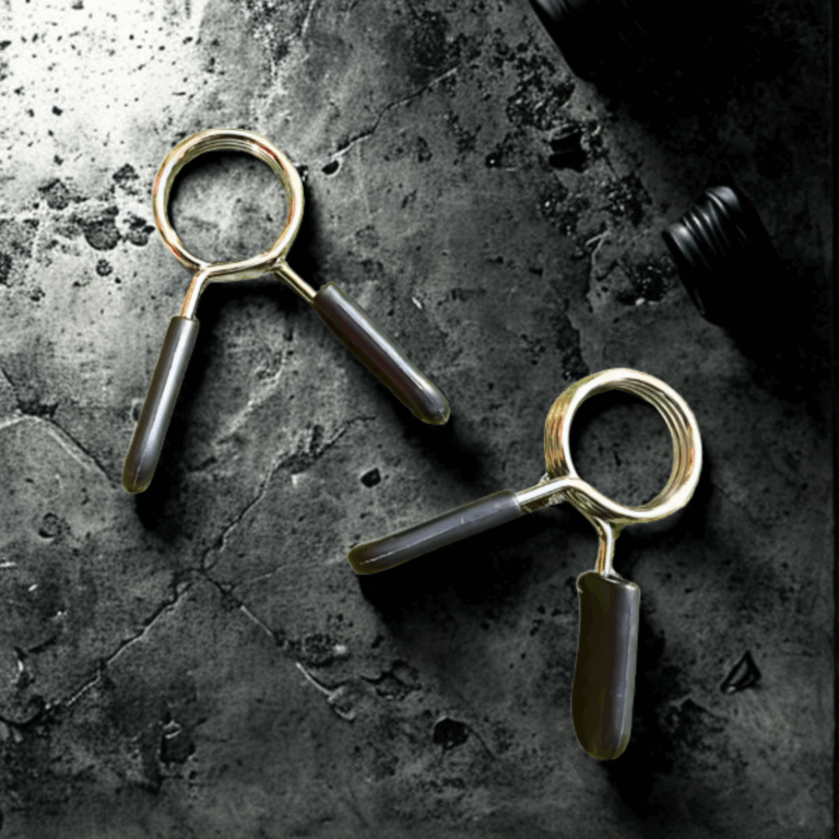 Lot de 2 Colliers de Serrage
