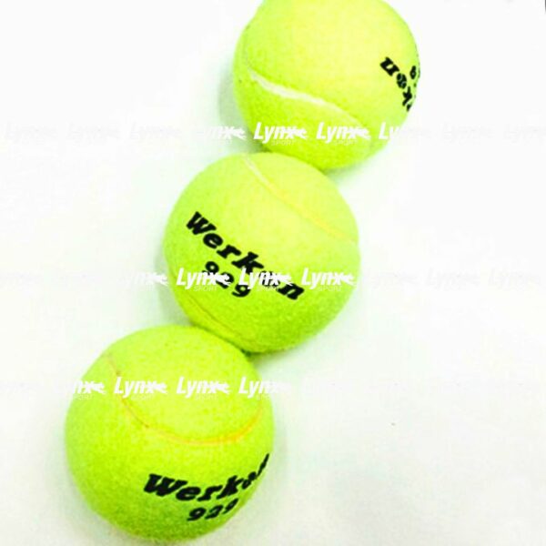 Lot de 3 Balles de Tennis