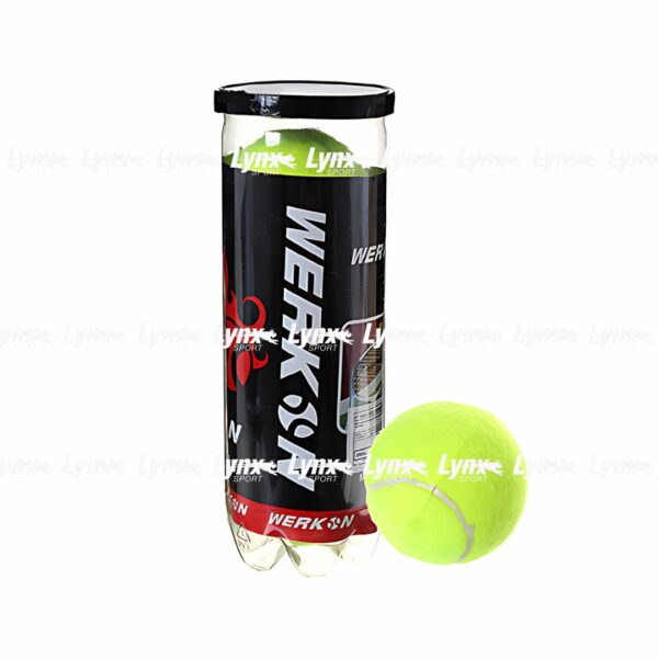 Lot de 3 Balles de Tennis Pro