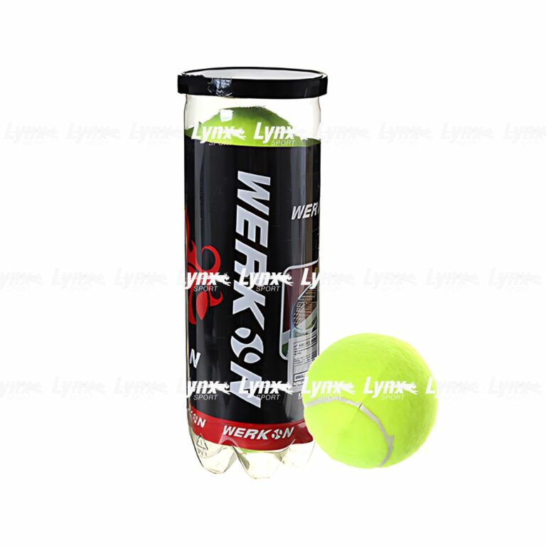 Lot de 3 Balles de Tennis Pro