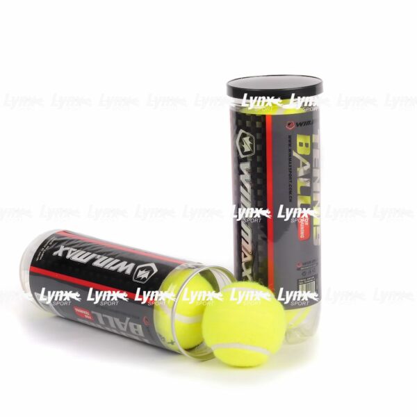 Lot de 3 Balles de Tennis Pro 1