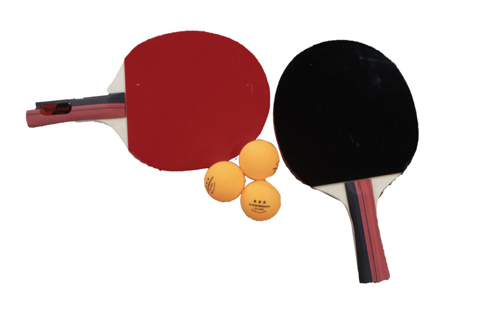 Double Raquette Ping Pong Iveinixun